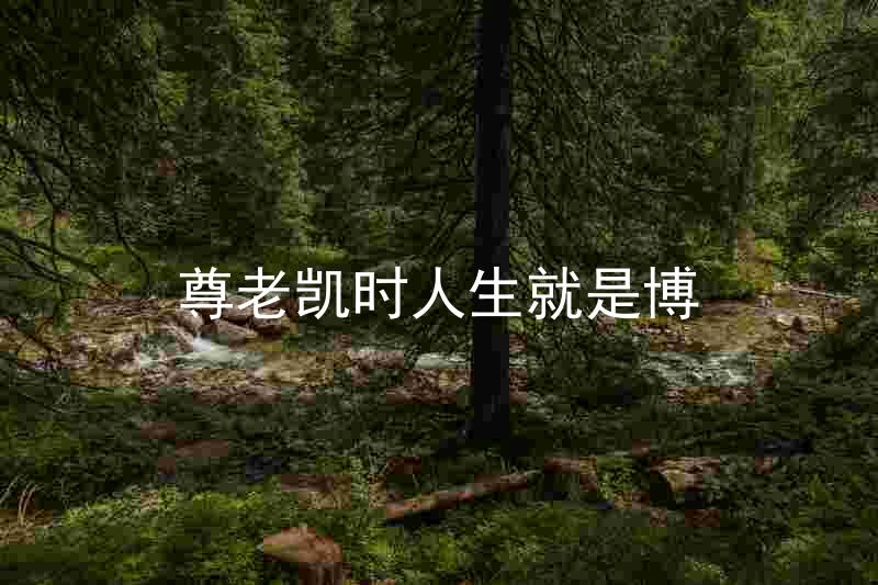 尊老凯时人生就是博