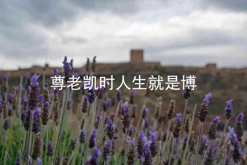 尊老凯时人生就是博